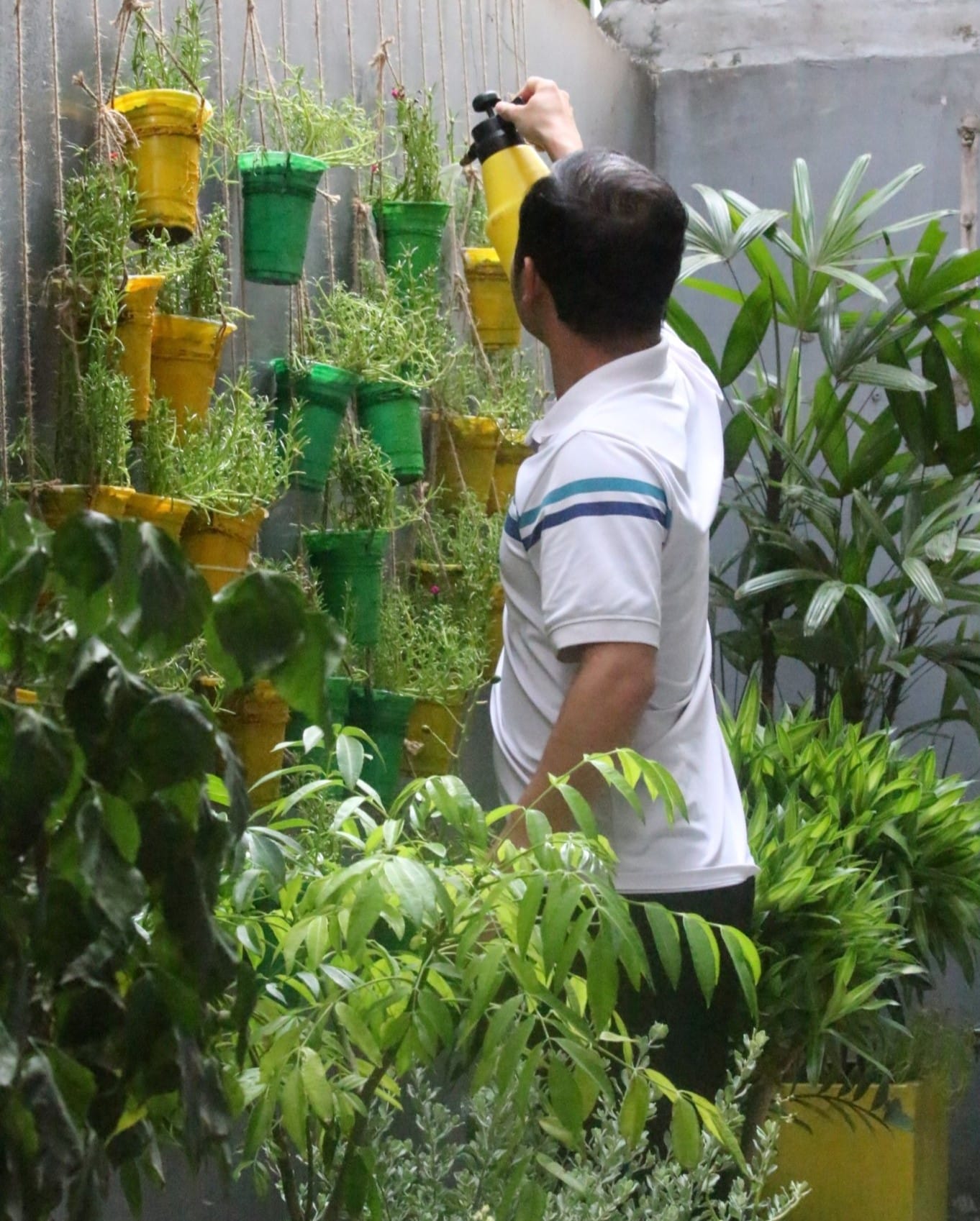 AXA Engineers Green Office 2024 9 b72496fade14704a2905