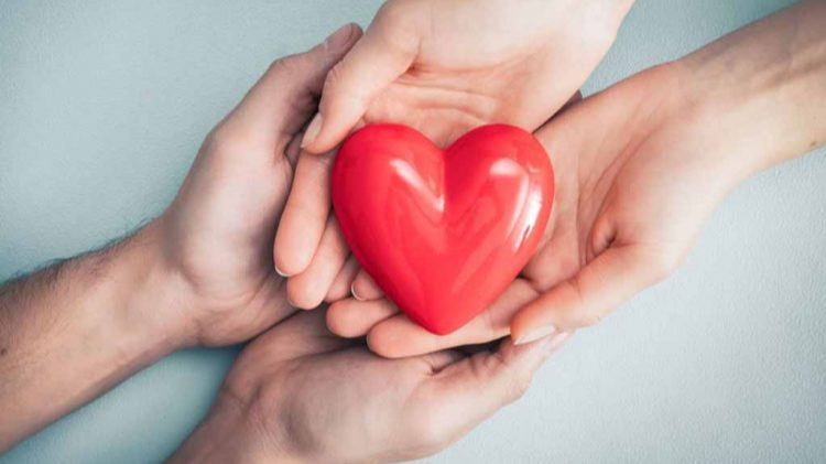 Love-filled Tet - Warm Spring 8 3bb72ecb e9f2 4338 9f22 25e8f1e62ed0