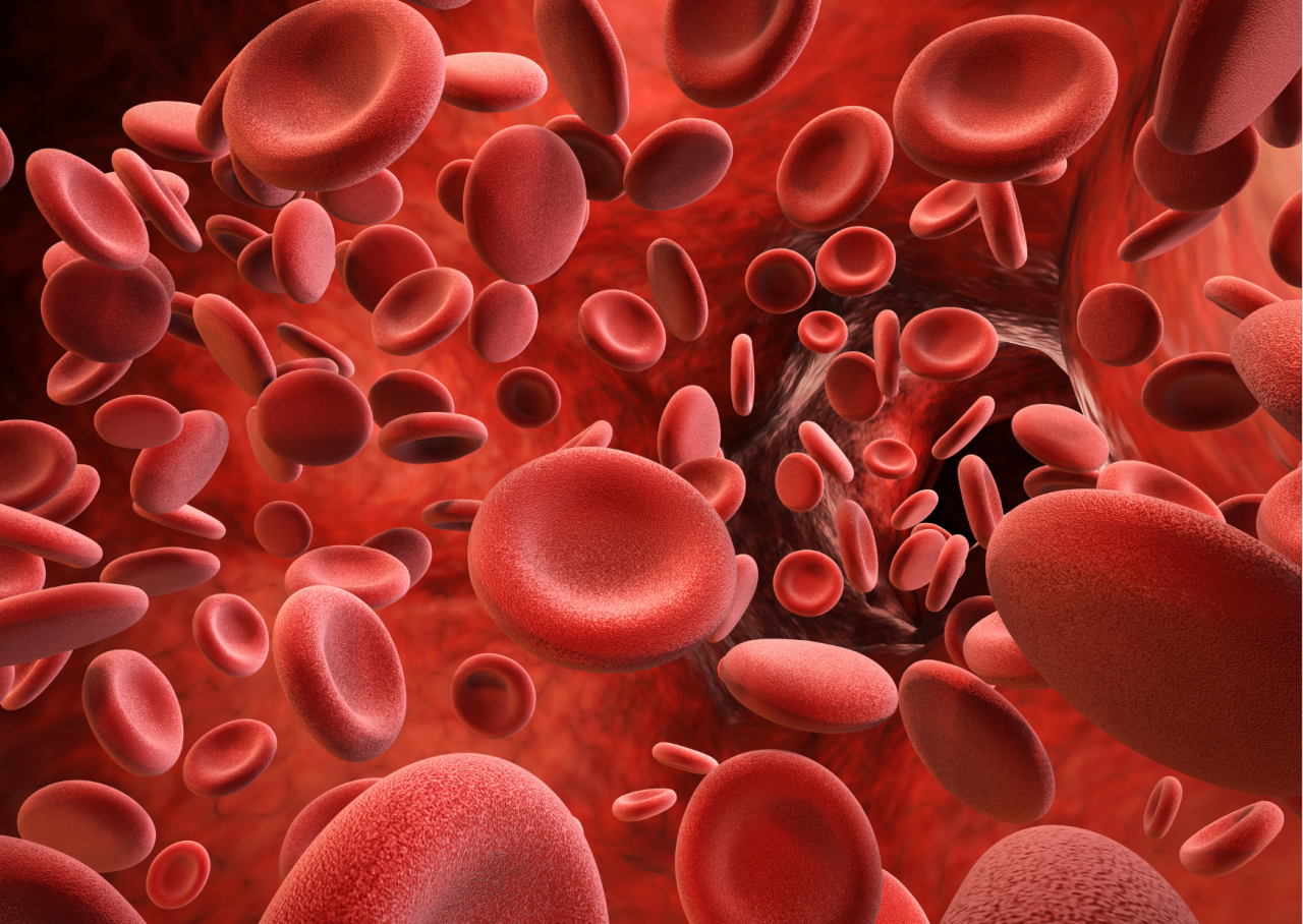 498066be 128c 4461 a6cc e491247345c9