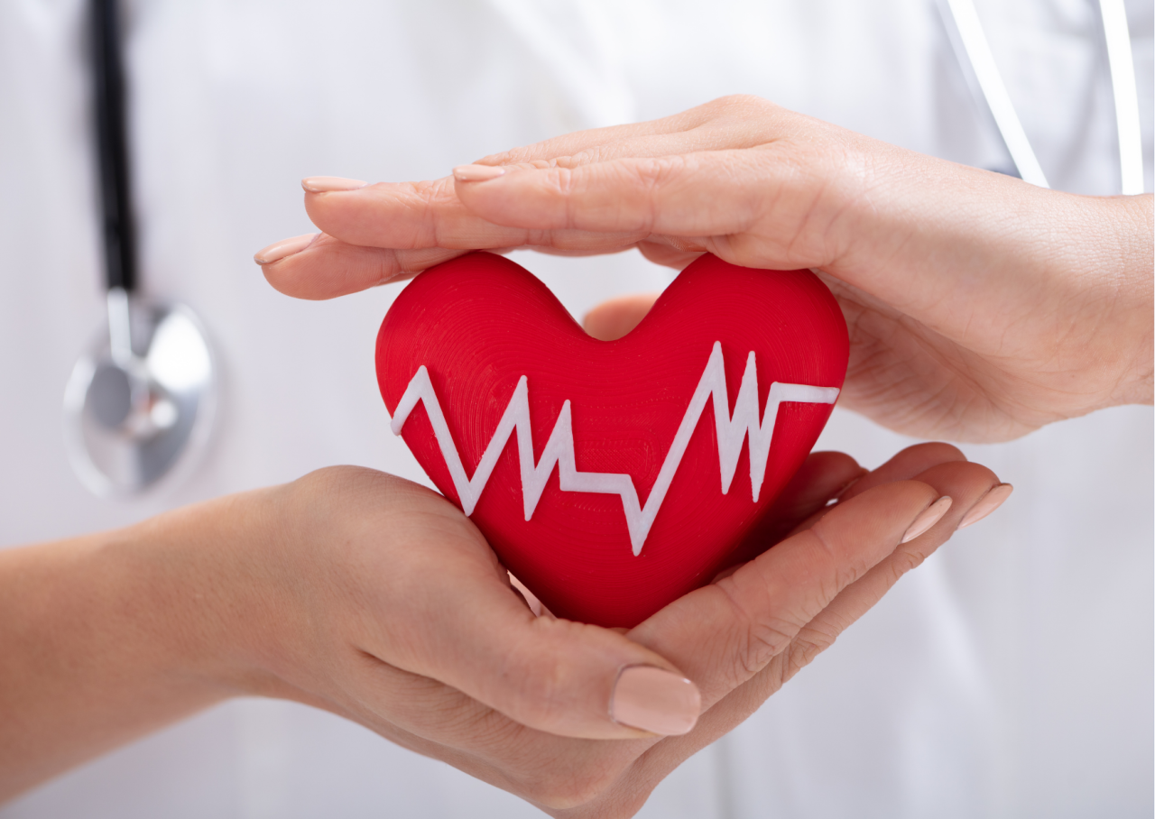 9d60a963 5617 4149 b5bc 676095f97274